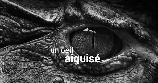 AF1QipMss-US8Jqh_3Xa8Nni_yziWs9gsY8YIUkHaPx.jpeg