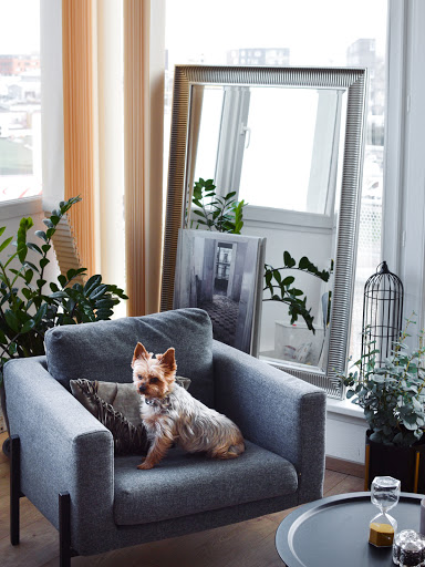 Edited with Afterlight