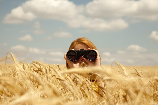 Redhead girl with binocular at wheat field.