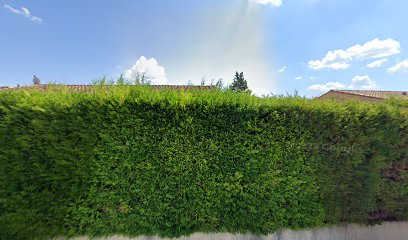 thumbnail-10229.jpeg