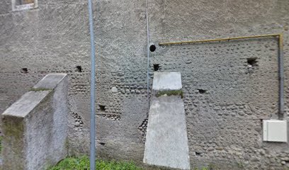 thumbnail-10791.jpeg