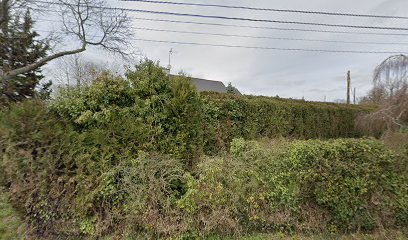 thumbnail-10875.jpeg