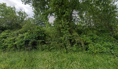 thumbnail-11165.jpeg