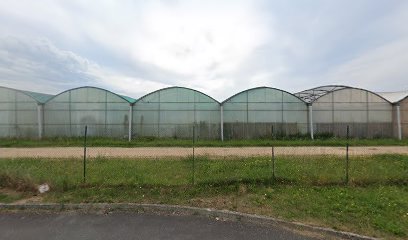 thumbnail-11202.jpeg