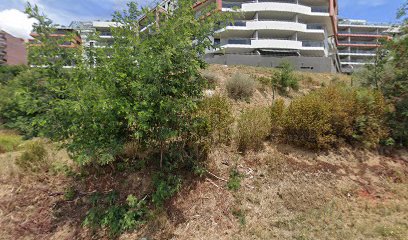 thumbnail-12064.jpeg