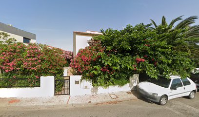 thumbnail-12070.jpeg