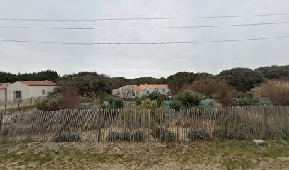 thumbnail-12415.jpeg