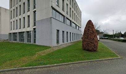 thumbnail-1272.jpeg