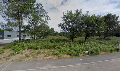 thumbnail-13178.jpeg
