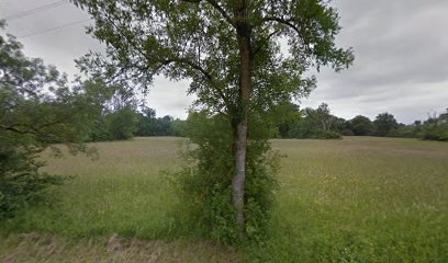 thumbnail-13539.jpeg