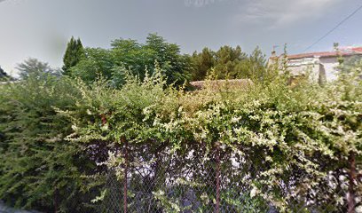 thumbnail-14338.jpeg