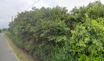 thumbnail-17477.jpeg