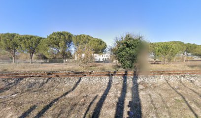thumbnail-3855.jpeg