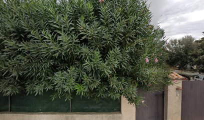 thumbnail-4754.jpeg