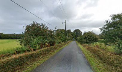 thumbnail-5409.jpeg