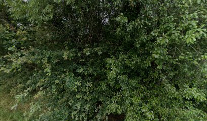 thumbnail-6195.jpeg