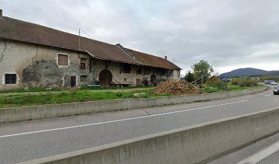 thumbnail-6681.jpeg
