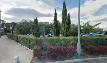 thumbnail-889.jpeg