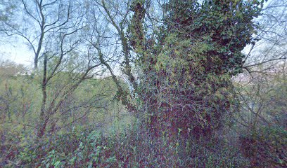 thumbnail-9132.jpeg