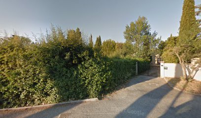 thumbnail-9149.jpeg