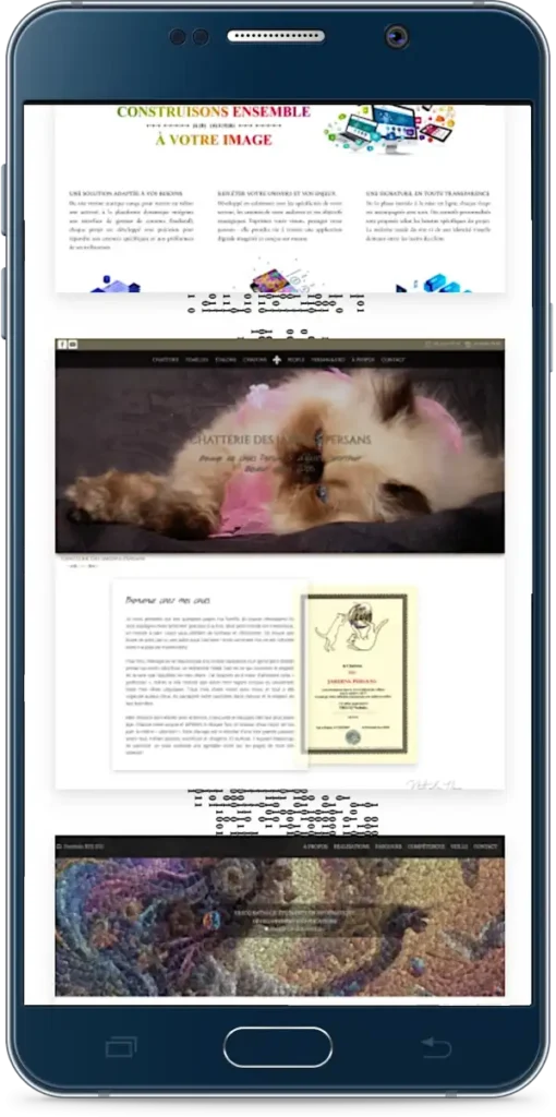 apercu-de-la-page-de-presentation-des-sites-web-realises-optimisee-pour-smartphone