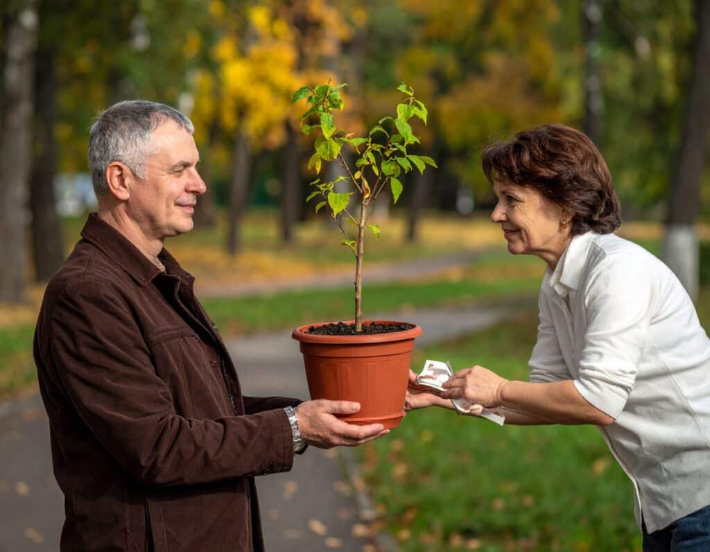 Firefly_un homme blanc, 55 ans, cheveux gris, qui donne un pot de fleur avec un arbre à une f 104051
