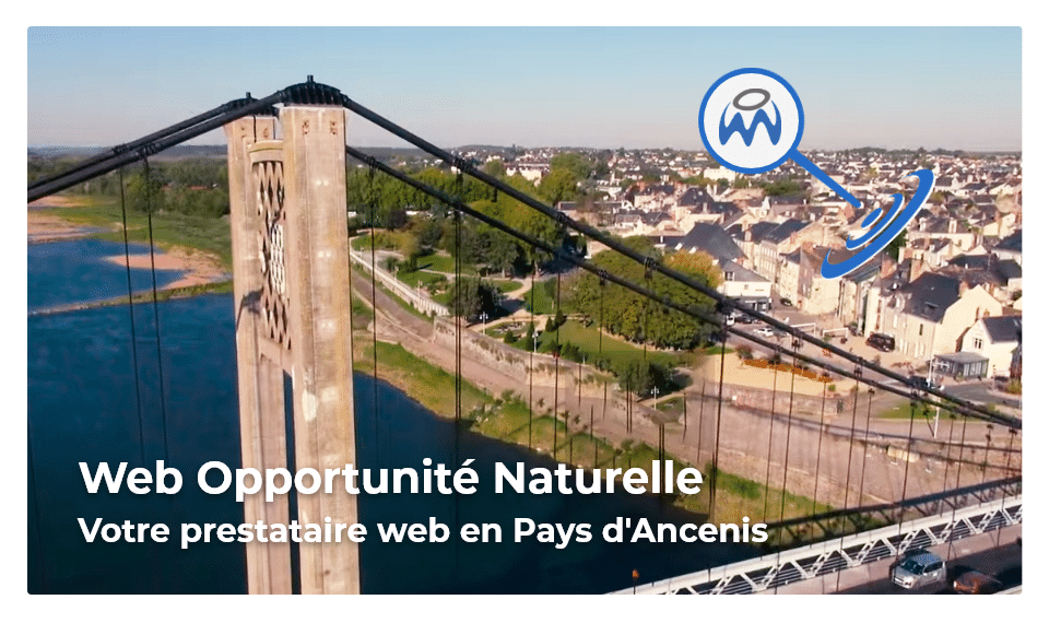 Votre prestataire web en pays d'Ancenis